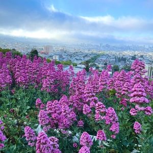 Meet your Posher, Benjamin